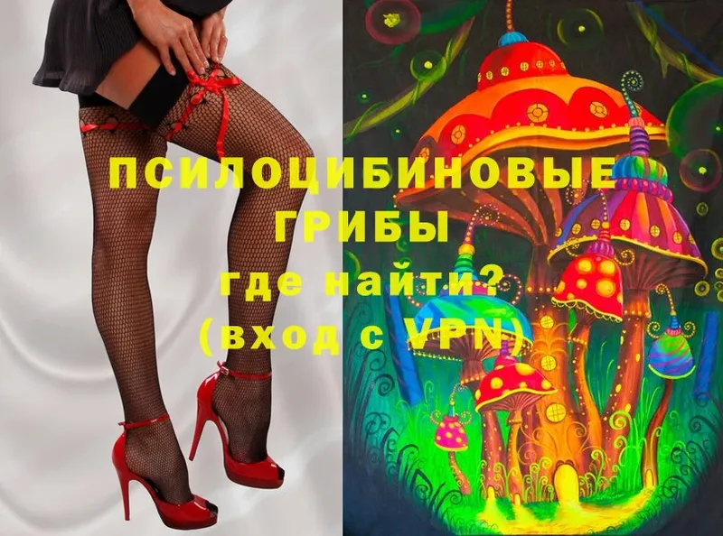 даркнет сайт  Гаврилов-Ям  Галлюциногенные грибы MAGIC MUSHROOMS 